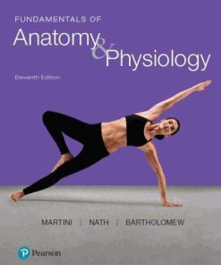 Test Bank for Fundamentals of Anatomy & Physiology, 11th Edition