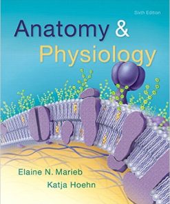 Test Bank For Anatomy And Physiology 6th Edition by Elaine N. Marieb