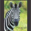 Test Bank for Understandable Statistics: Concepts and Methods, 12th Edition by Charles Henry Brase
