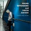 Test Bank for Young Offenders and Youth Justice: A Century After the Fact 4th Edition