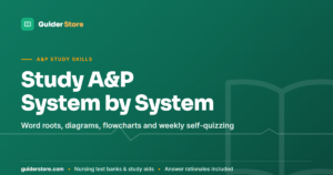 How to Study Anatomy and Physiology: A System-by-System Plan